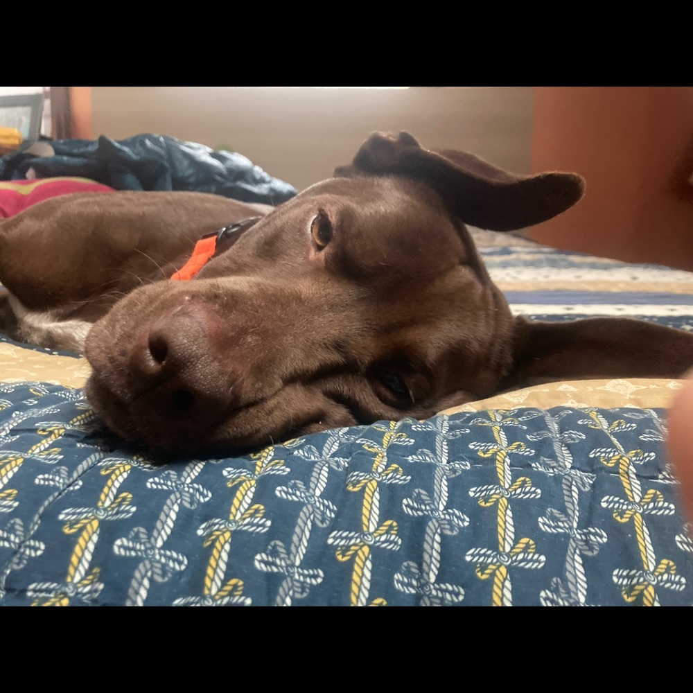 Meet your Posher, Christina